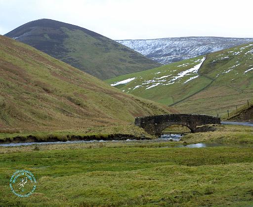 Scottish Borders 8P75D-20.JPG